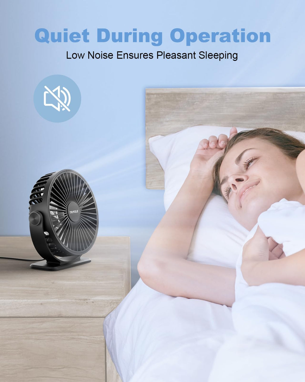 Black 2 Pack USB Powered Mini Desk Fan Q85234