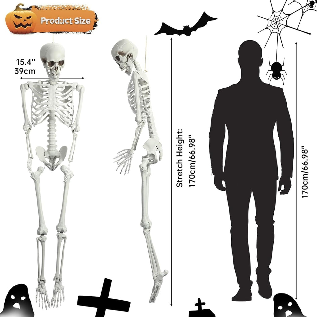 5.4 Ft White Skeleton with Movable Joints N1765