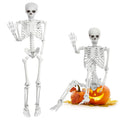 5.4 Ft White Skeleton with Movable Joints N1765