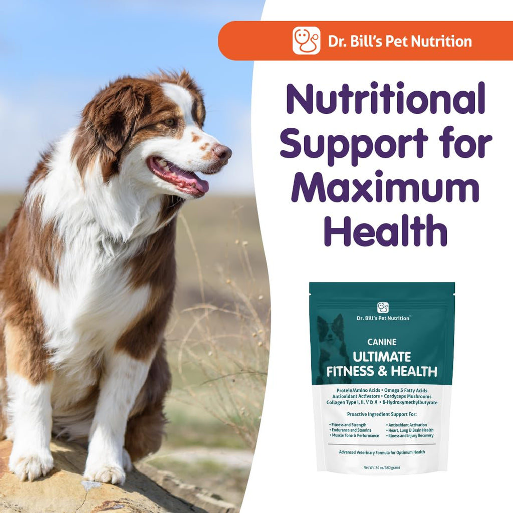 Daily Dog Multivitamin 340g K6074