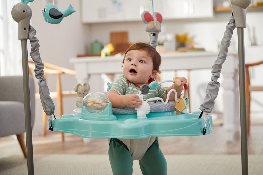 Baby Activity Center, Bouncer, and Baby Jumper A894803