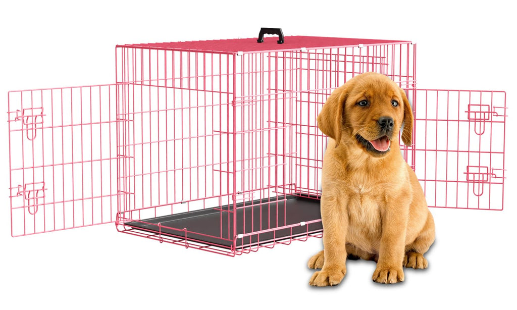 36" Metal Wire Folding Dog Crate with Divider Panel N5476