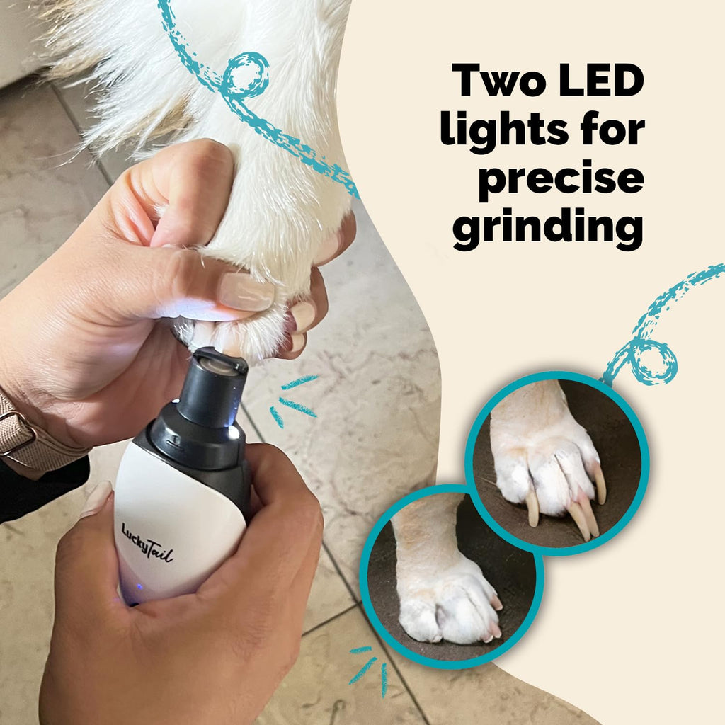Dog Nail Grinder with Light Z169510