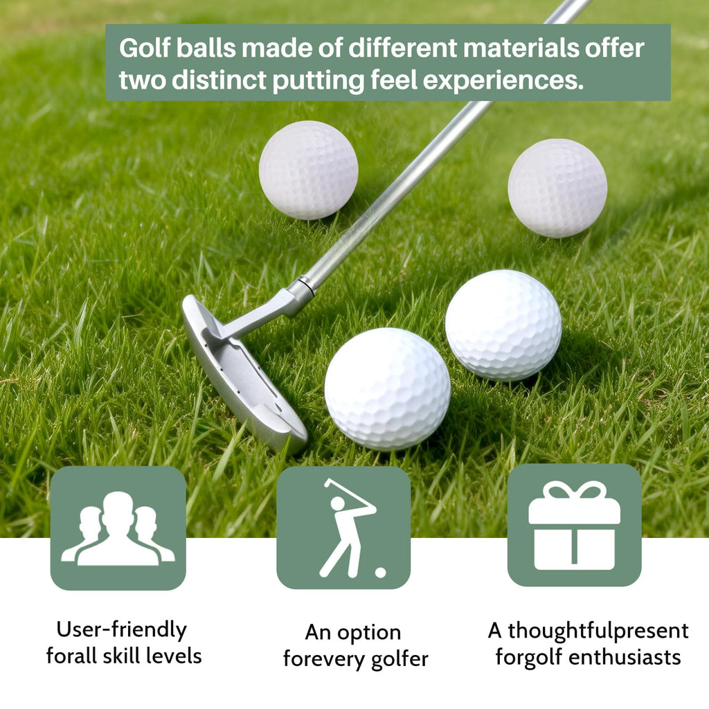 Two-Way Golf Putter with 2 Golf Balls G179020