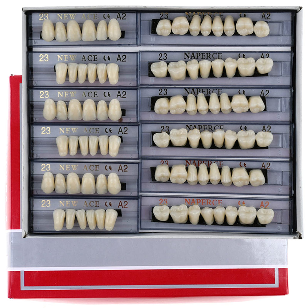 168 Pieces Acrylic Resin Denture Teeth 6 Sets 23 Shade A2 Upper + Lower B768