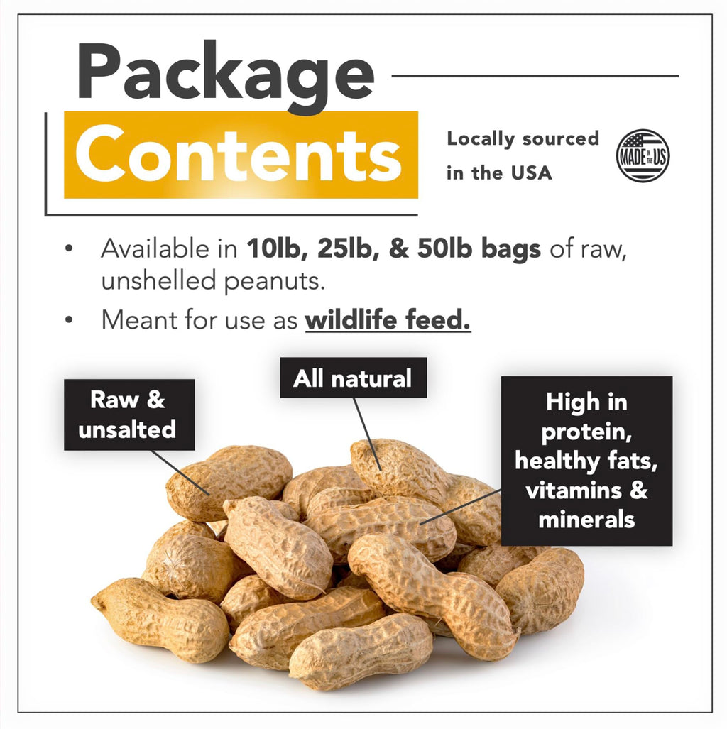 Raw Peanuts 25 LBS B86491