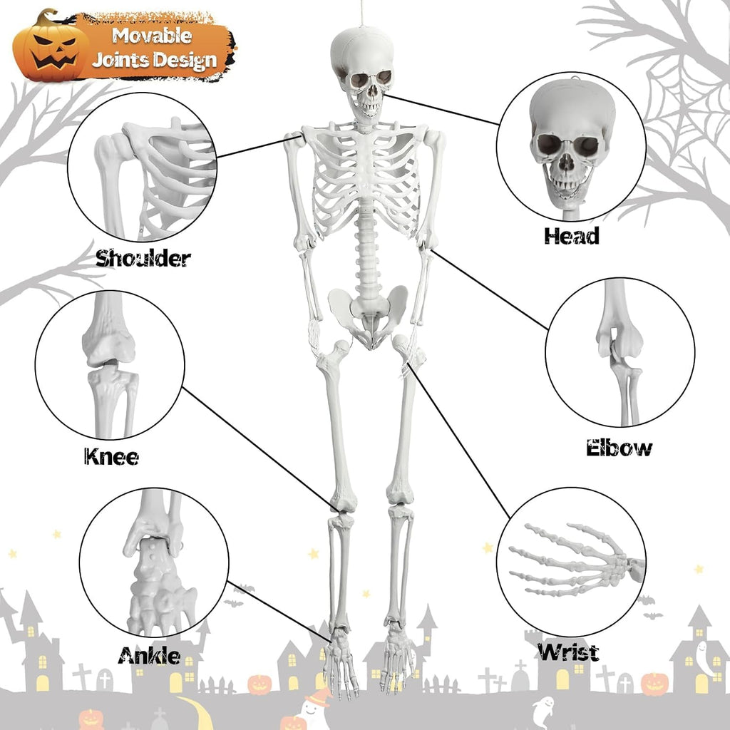 5.4 Ft White Skeleton with Movable Joints N1765