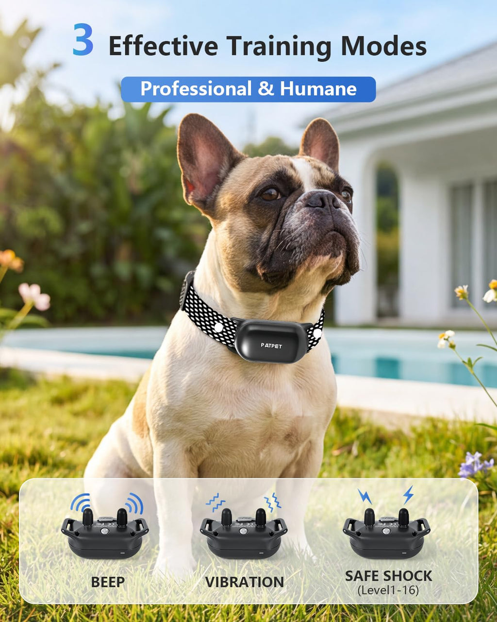 Dog Shock Collar with Remote Control L335