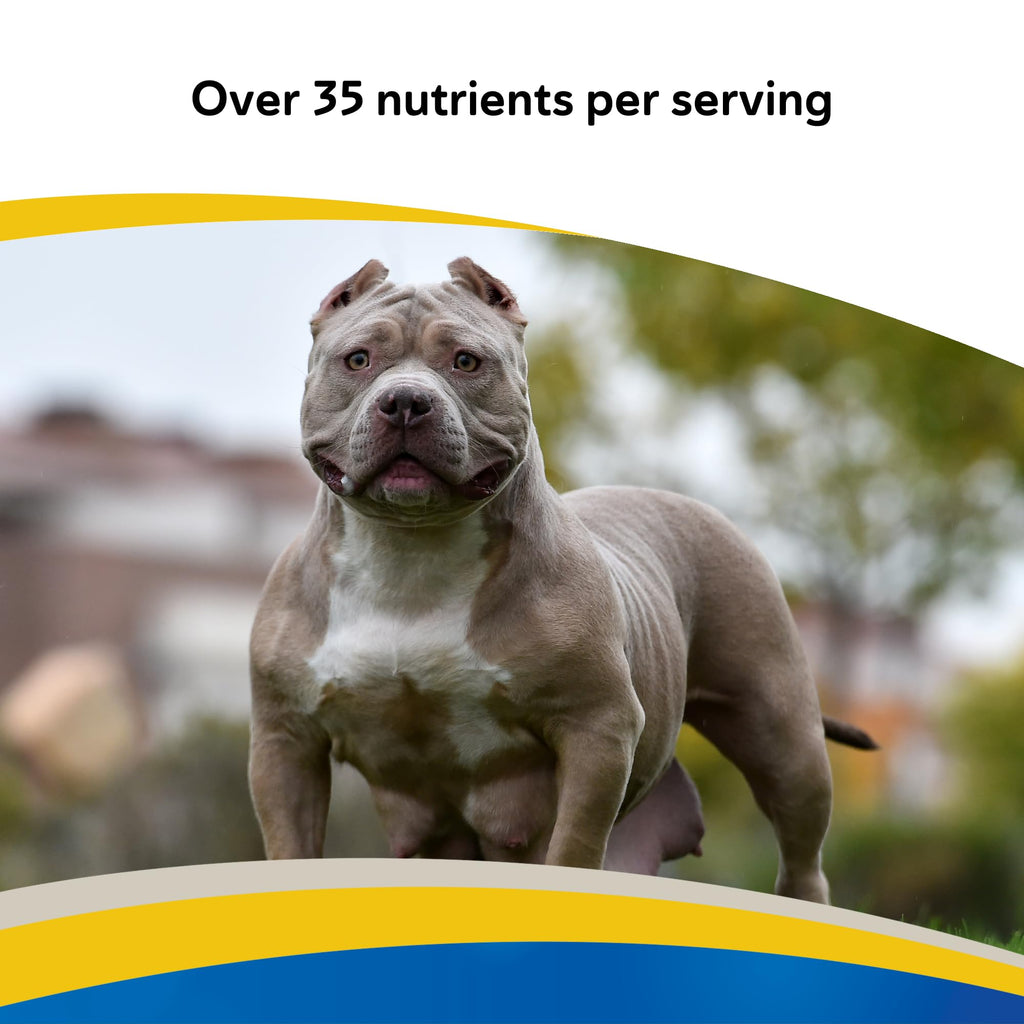 Canine Multivitamin Tablets for Dogs, 180ct T51557