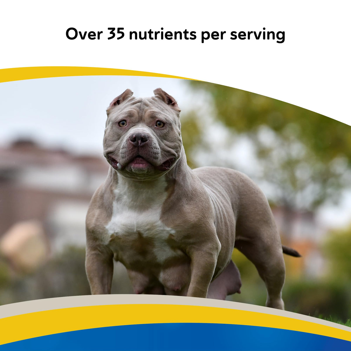 Canine Multivitamin Tablets for Dogs, 180ct T51557