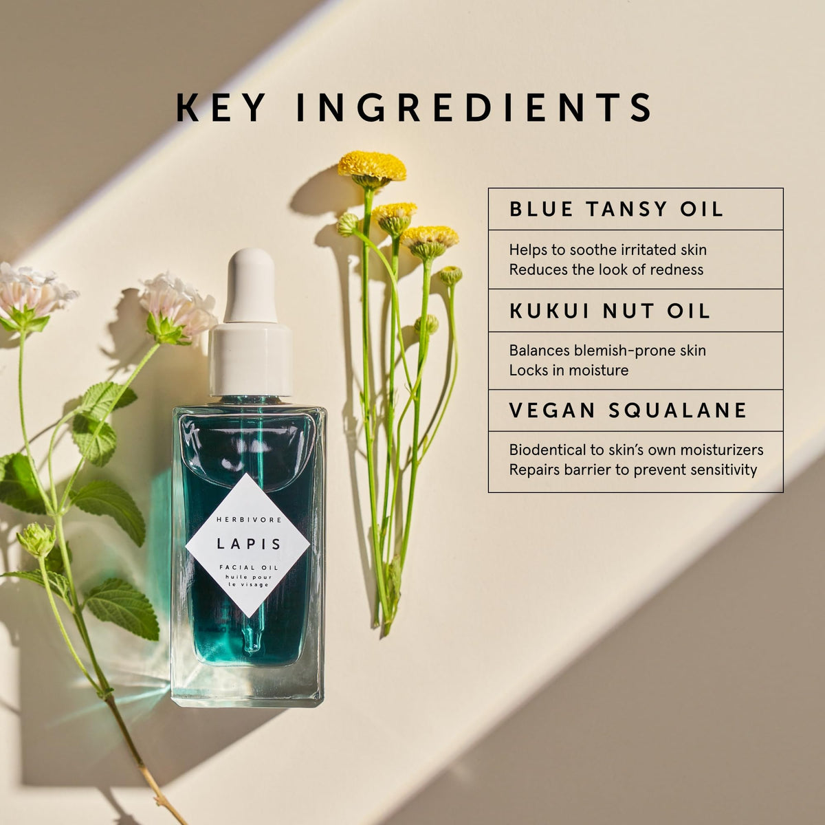 Lapis Blue Tansy Facial Oil R827085