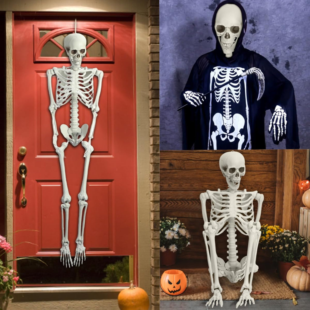 5.4 Ft White Skeleton with Movable Joints N1765