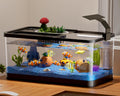 5.3 Gallon Fish Tank Starter Kit D3112