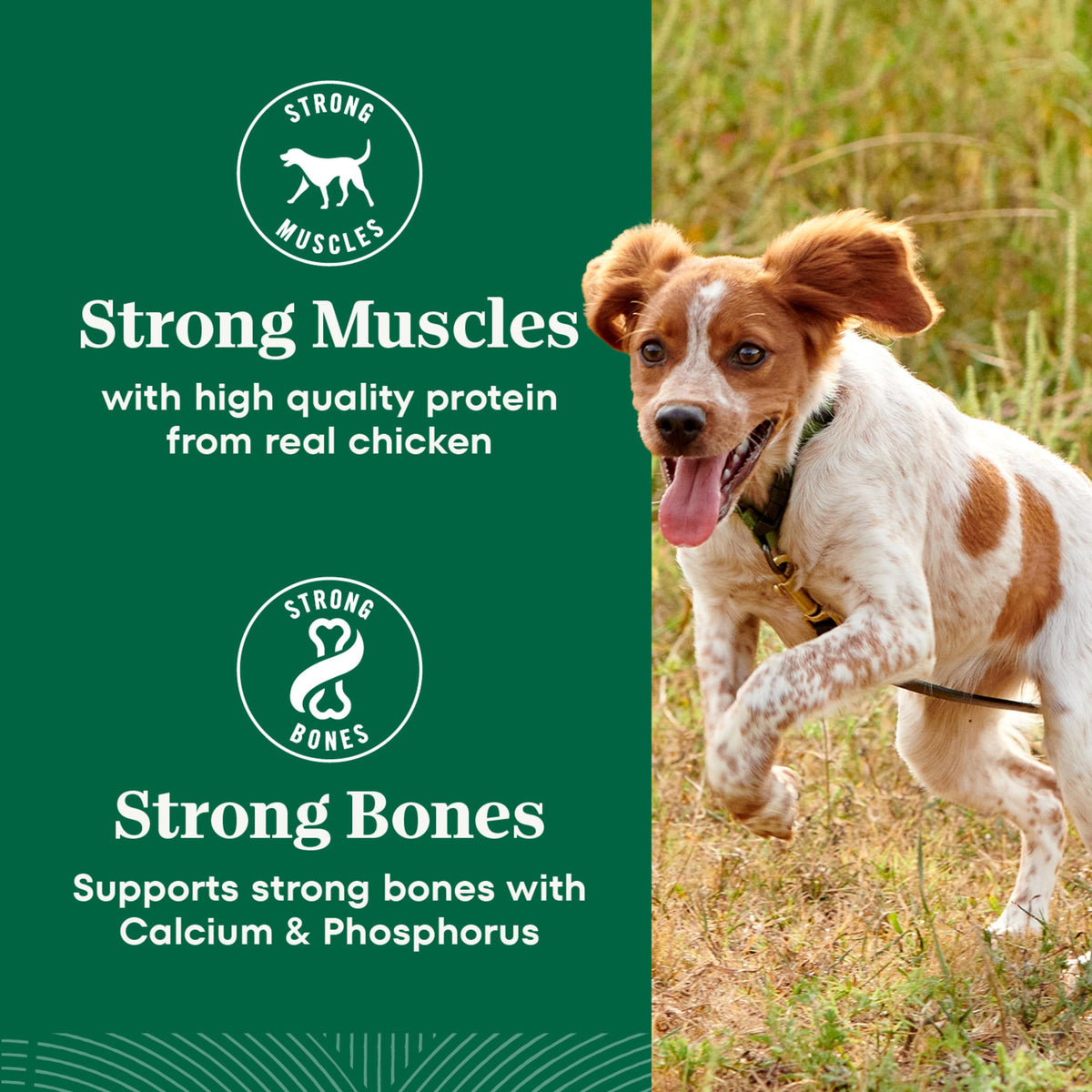 Chicken & Rice Small Breed Dry Dog Food 5 lb U574
