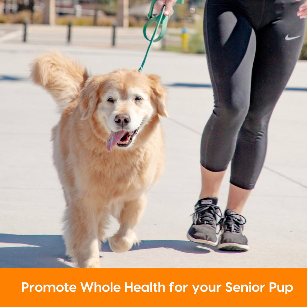 Senior Dogs Soft Chews 90 ct D3169