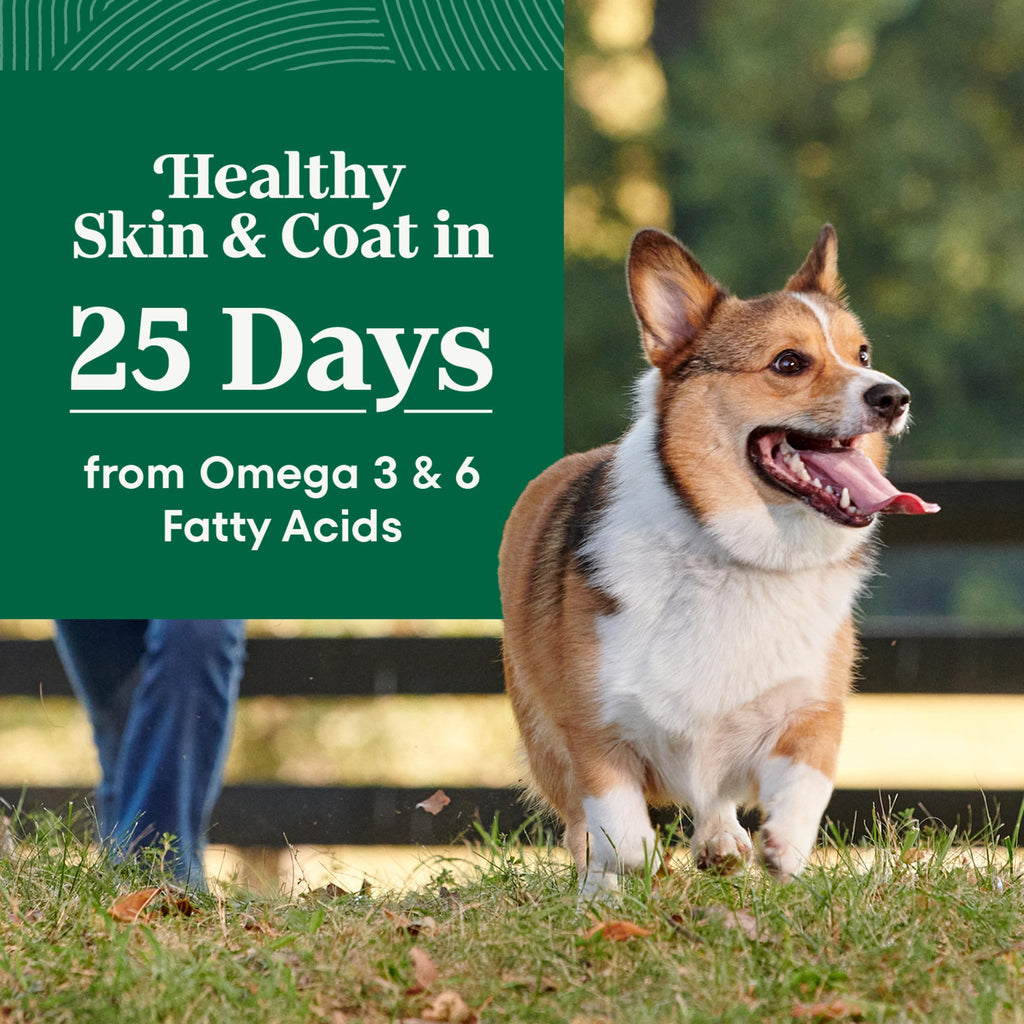 Chicken & Rice Small Breed Dry Dog Food 5 lb U574