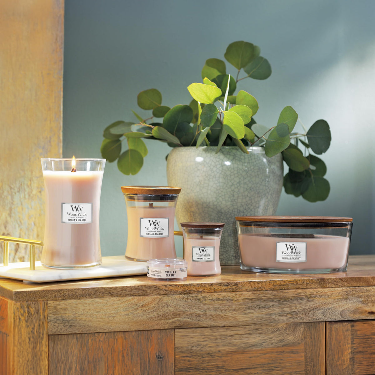 Vanilla & Sea Salt Scented Candle V3720