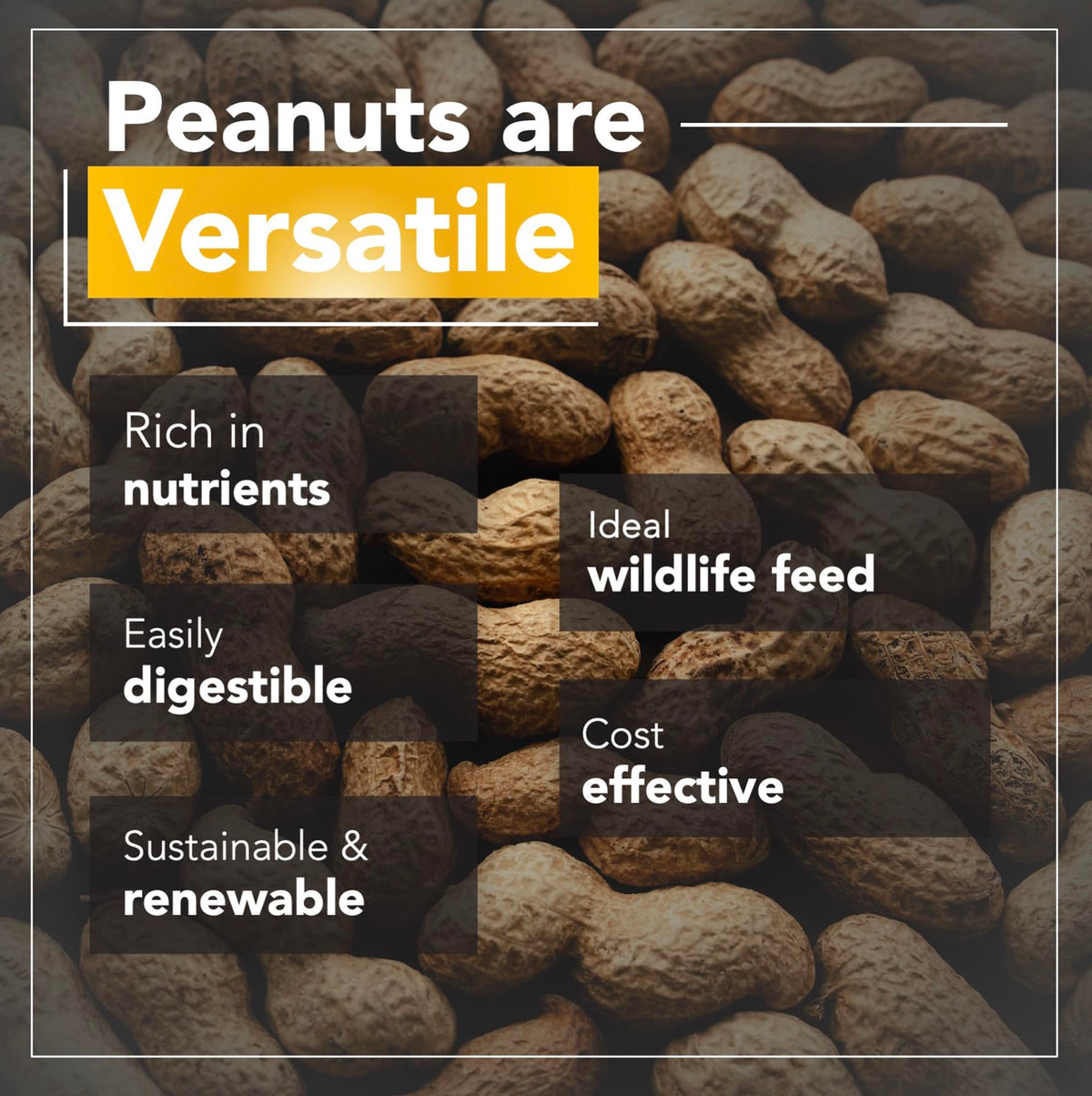 Raw Peanuts 25 LBS B86491