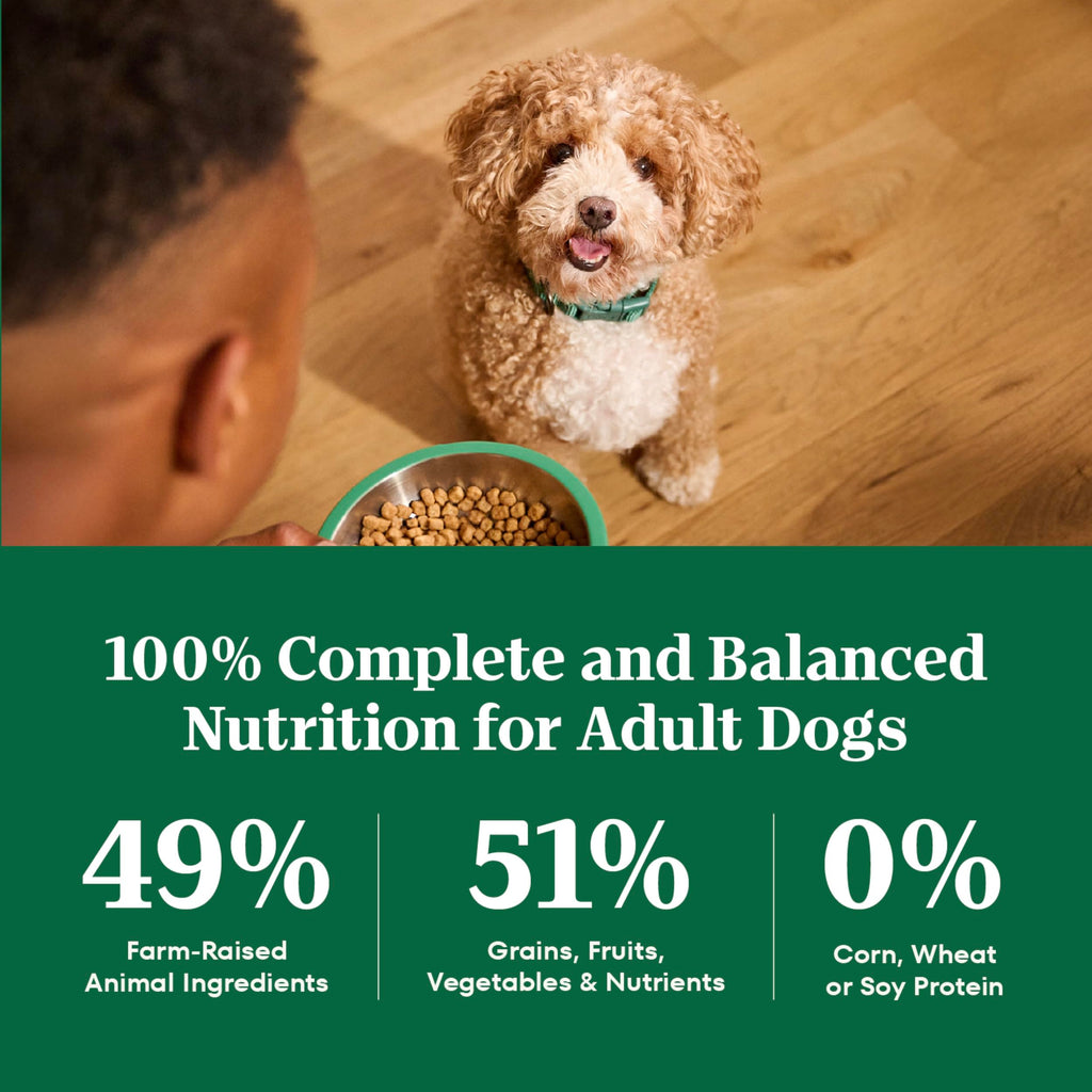 Chicken & Rice Small Breed Dry Dog Food 5 lb U574