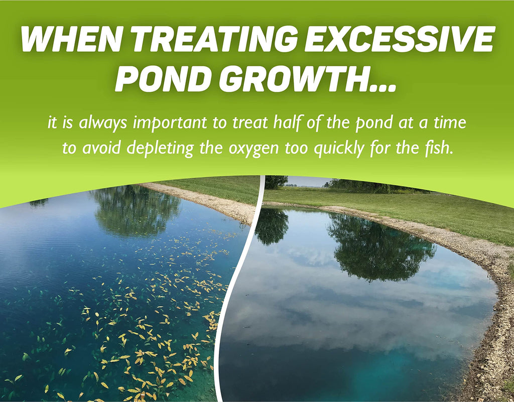 Concentrated Aquatic Herbicide for Lakes and Ponds N9865