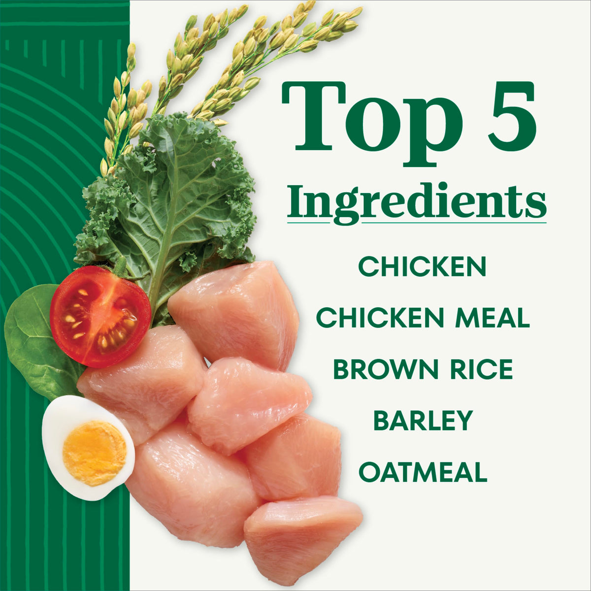 Chicken & Rice Small Breed Dry Dog Food 5 lb U574