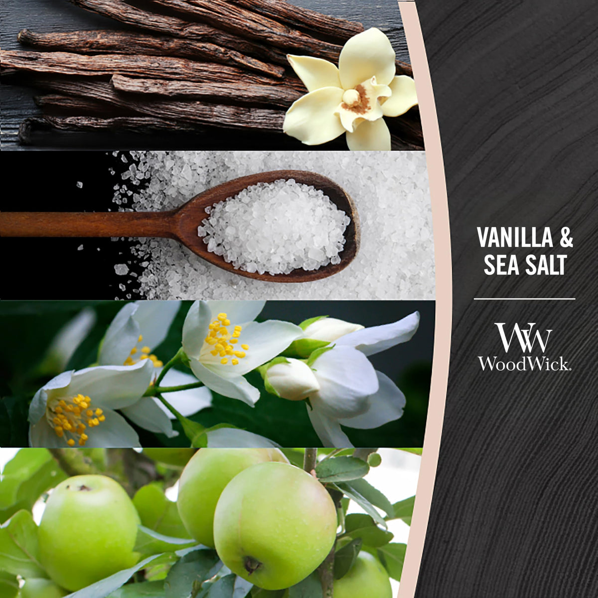 Vanilla & Sea Salt Scented Candle V3720