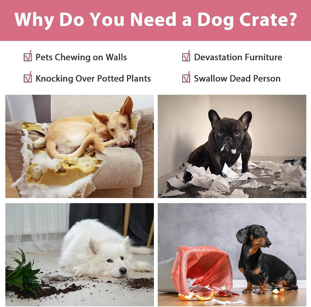 36 Inch Foldable Metal Dog Crate with Double Doors P490