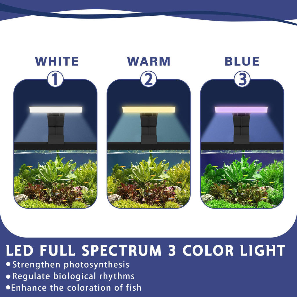 5.3 Gallon Fish Tank Starter Kit D3112
