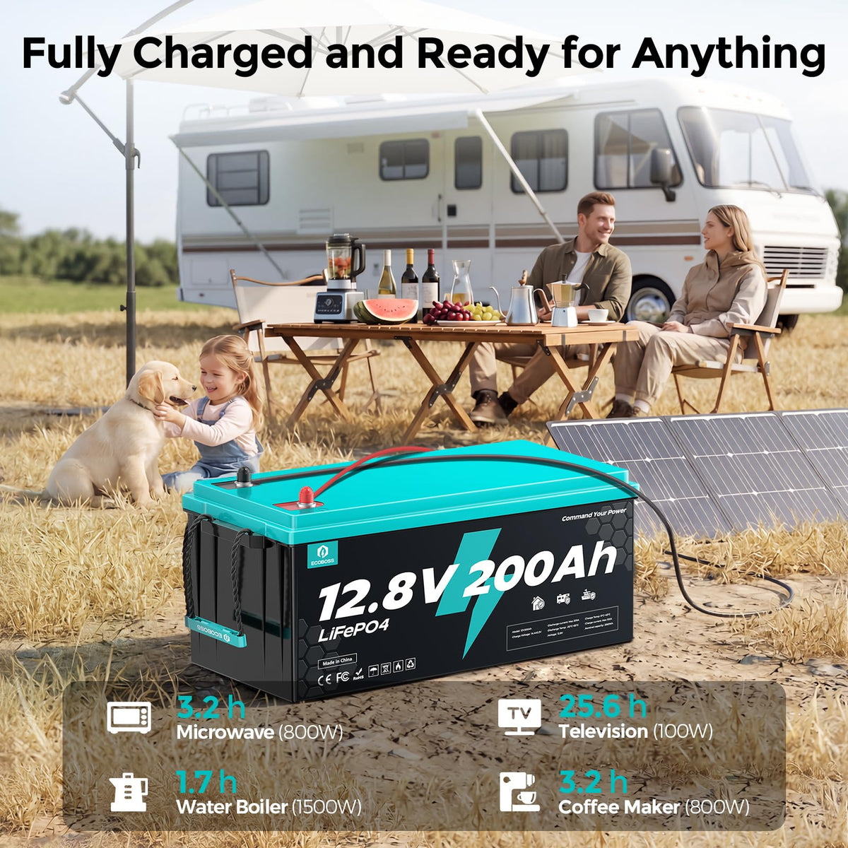 12V 200Ah LiFePO4 Deep Cycle Lithium Battery P32150