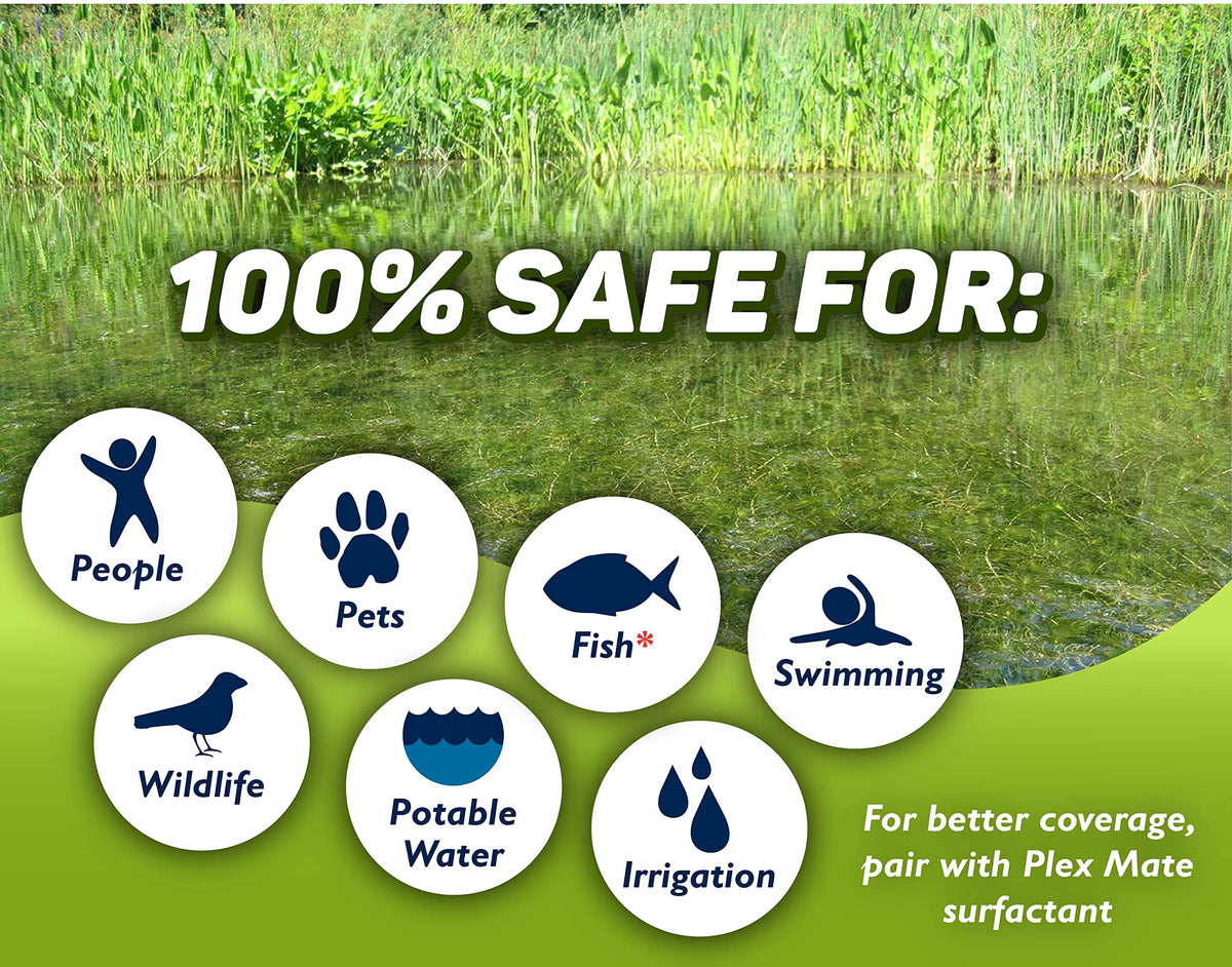 Concentrated Aquatic Herbicide for Lakes and Ponds N9865
